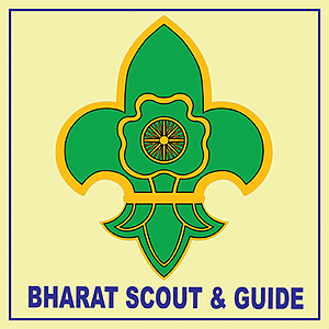 scout logo