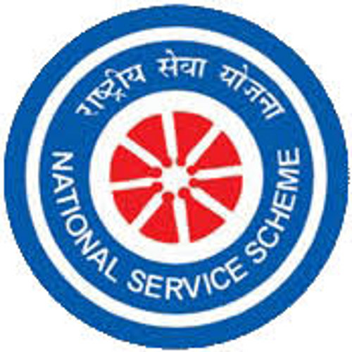 nss logo