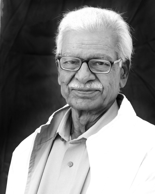 raghuveer artist